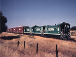 s0009.JPG (20356 bytes)